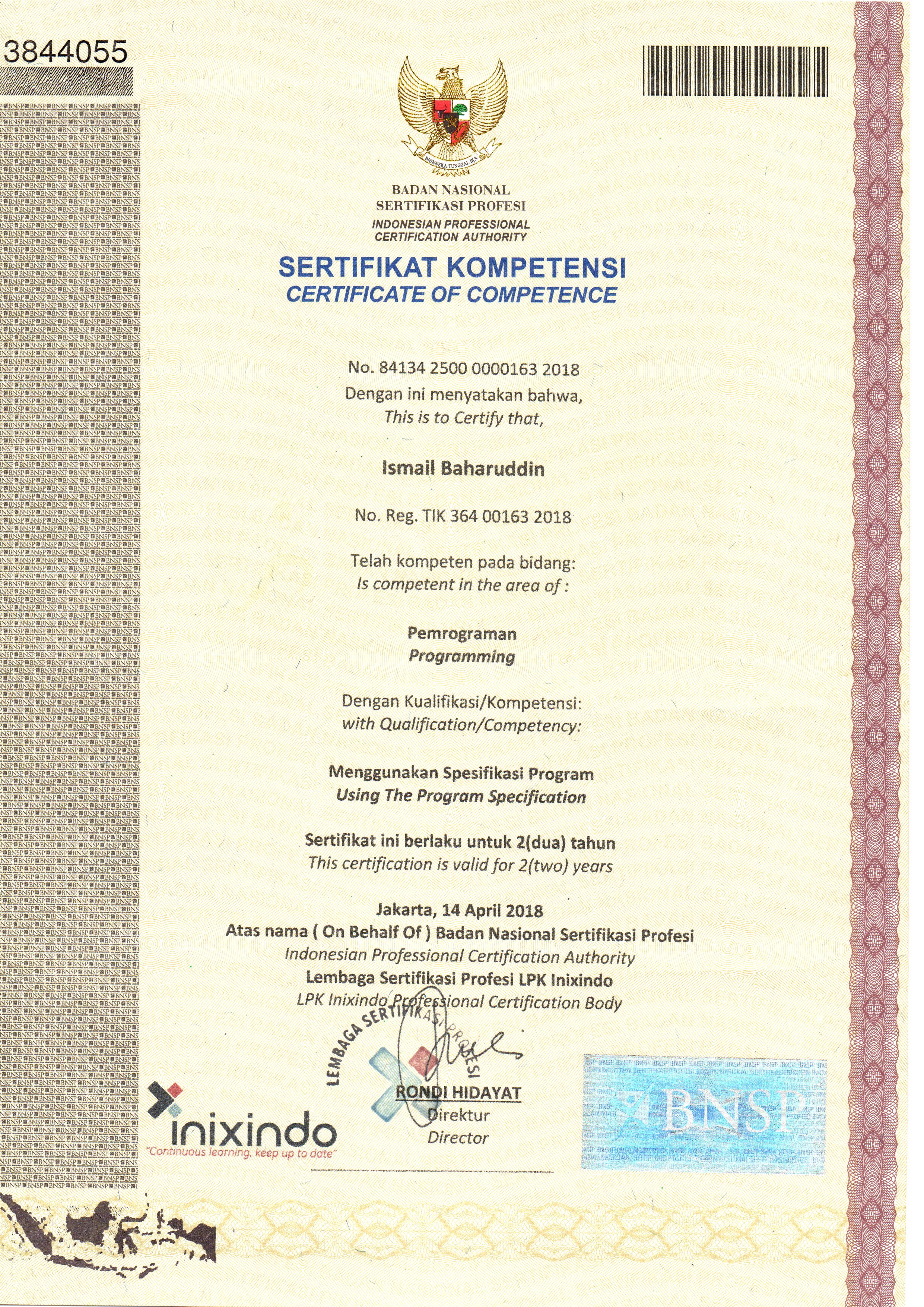 BNSP Programming Certification